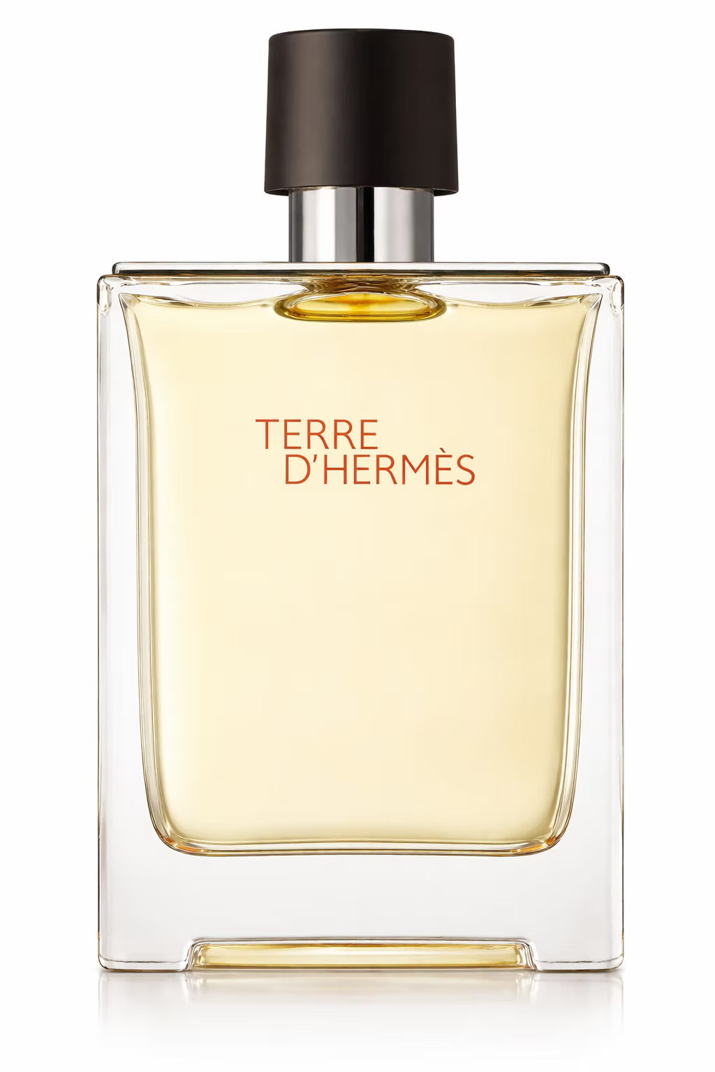 Hermes Terre D'Hermes Men Eau de Toilette